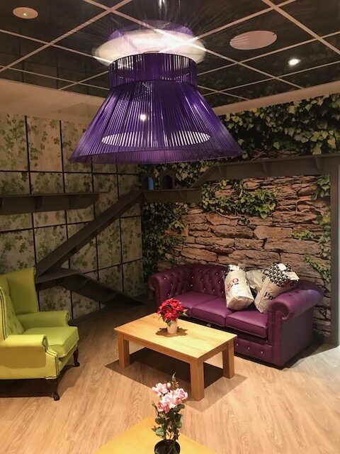 Kitty Cafe Leeds City Centre Audas Kitty Cafe Leeds City Centre Audas